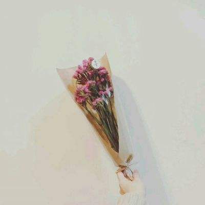 葫芦兄弟七子降妖虫虫版下载