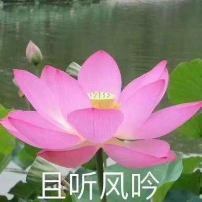 宝宝教育乐园手游下载